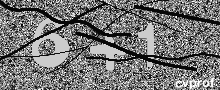 Captcha Kép