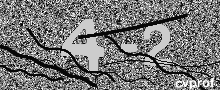 Captcha Kép