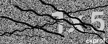Captcha Kép