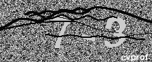 Captcha Kép